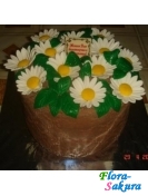 ���� ������� . �������� �� ����� � �������