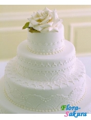��������� ���� ����� . �������� �� ����� � �������