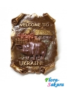 �������� Welcome to Ukraine . �������� �� ����� � �������