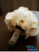 ��������� ����� 271 . �������� �� ����� � �������