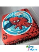 ������� ���� Spiderman . �������� �� ����� � �������