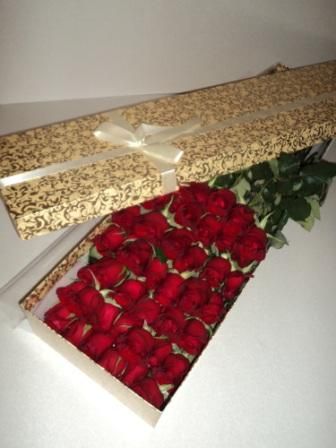 51 ���� � �������� �������. �������� �� ����� � �������