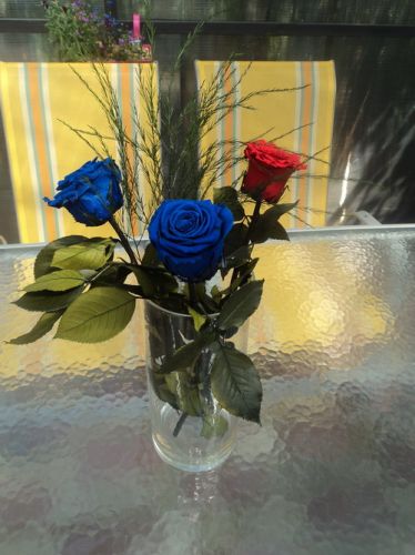����� ��� ��������. �������� �� ����� � �������