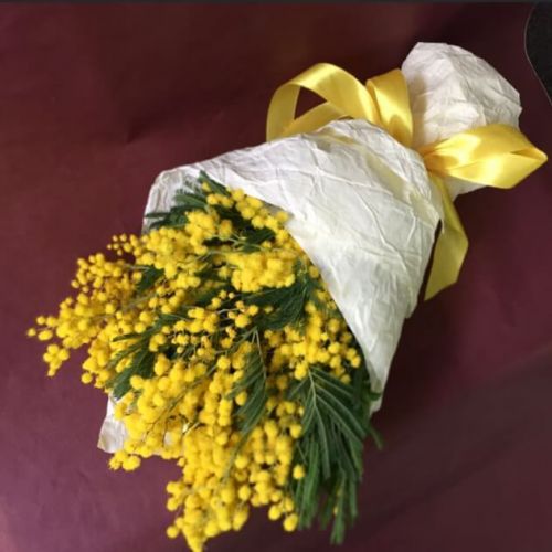 ����� ������ �����. �������� �� ����� � �������